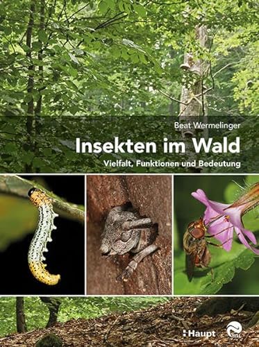 Insekten im Wald: Vielfalt, Funktionen und Bedeutung