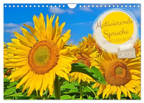 Motivierende Sprüche - gestärkt durch das Jahr (Wandkalender 2025 DIN A4 quer), CALVENDO Monatskalender von CALVENDO