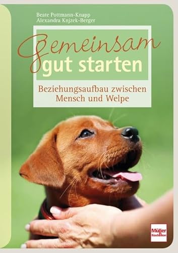 Gemeinsam gut starten: Beziehungsaufbau zwischen Mensch und Welpe