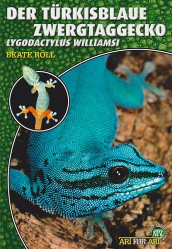 Der Türkisblaue Zwergtaggecko: Lygodactylus williamsi (Buchreihe Art für Art Terraristik)
