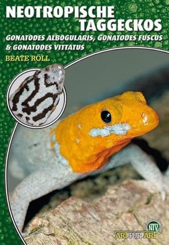 Neotropische Taggeckos: Gonatodes albogularis, Gonatodes fuscus & Gonatodes vittatus (Buchreihe Art für Art Terraristik) von NTV Natur und Tier-Verlag