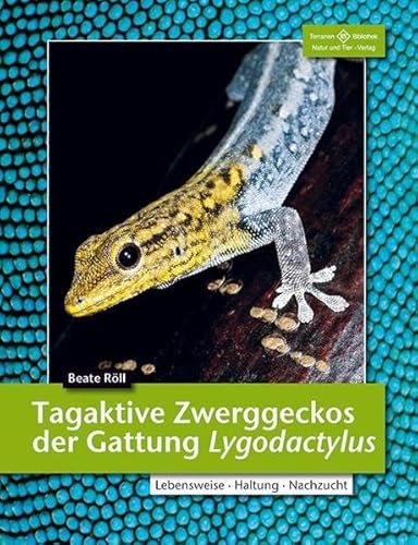 Tagaktive Zwerggeckos der Gattung Lygodactylus: Lebensweise, Haltung, Nachzucht (Terrarien-Bibliothek)