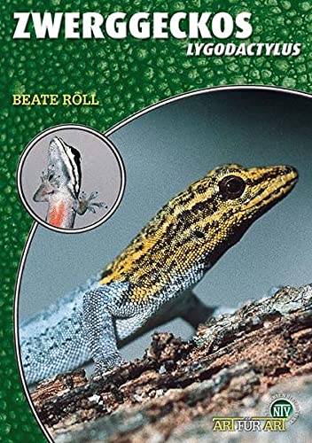 Zwerggeckos: Lygodactylus (Buchreihe Art für Art Terraristik)