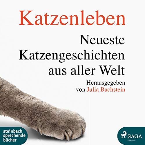 Katzenleben: Neueste Katzengeschichten aus aller Welt