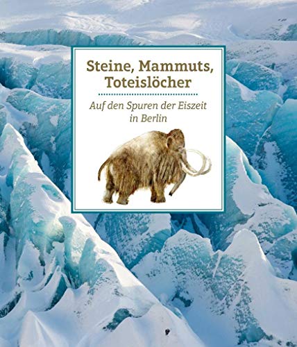 Steine, Mammuts, Toteislöcher: Auf den Spuren der Eiszeit in Berlin (Edition Stadtmuseum: KLEINE REIHE)