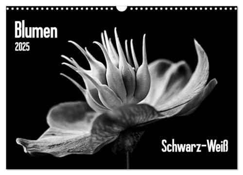 Blumen 2025, Schwarz-Weiß (Wandkalender 2025 DIN A3 quer), CALVENDO Monatskalender von CALVENDO