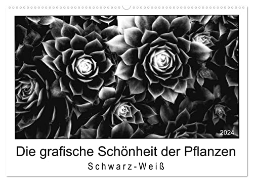 Die grafische Schönheit der Pflanzen – Schwarz-Weiß (Wandkalender 2024 DIN A2 quer), CALVENDO Monatskalender