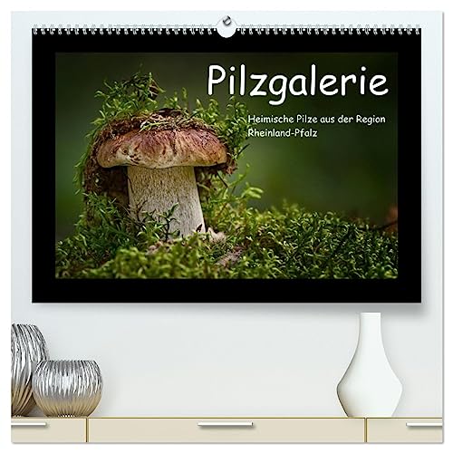 Pilzgalerie - Heimische Pilze aus der Region Rheinland-Pfalz (hochwertiger Premium Wandkalender 2025 DIN A2 quer), Kunstdruck in Hochglanz