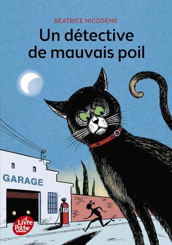 Un detective de mauvais poil