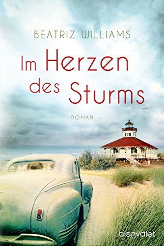 Im Herzen des Sturms: Roman (Die East-Coast-Reihe, Band 1)