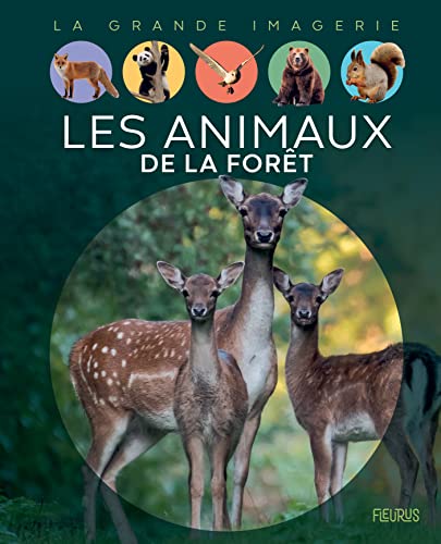 Les animaux de la forêt Les animaux de la forêt
