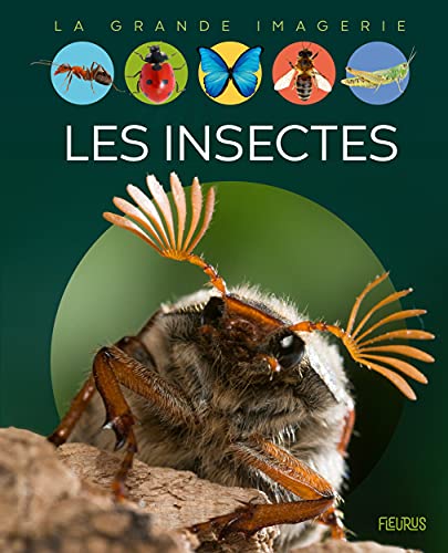 Les insectes von FLEURUS
