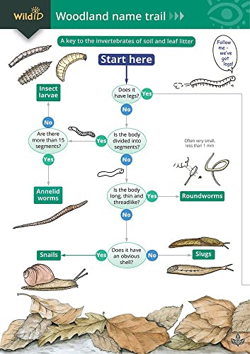 The woodland name trail: A key to the invertebrates of soil and leaf litter (Field Studies Council Occasional Publications S.)