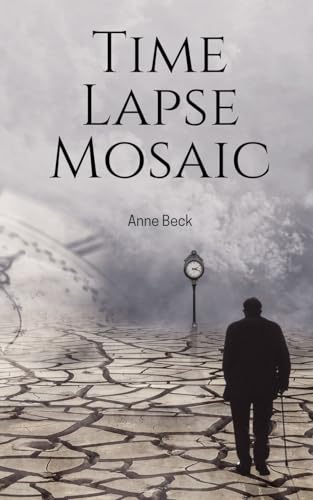Time Lapse Mosaic