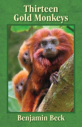 Thirteen Gold Monkeys von Outskirts Press