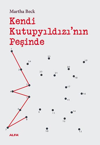 Kendi Kutupyildizinin Pesinde von Alfa Yayınları