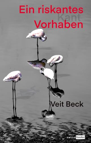 Ein riskantes Vorhaben (ratio-books Verlag) von Verlag ratio-books