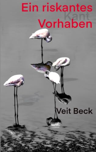Ein riskantes Vorhaben (ratio-books Verlag)