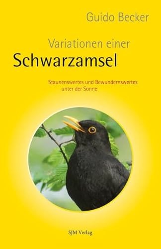 Variationen einer Schwarzamsel