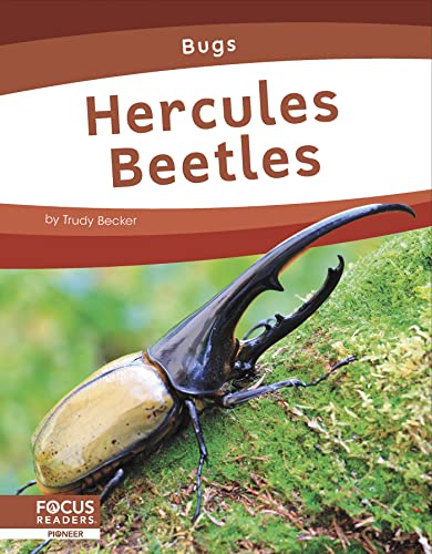 Hercules Beetles (Bugs) von Focus Readers