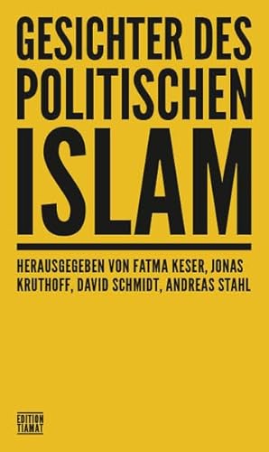 Gesichter des politischen Islam (Critica Diabolis) von edition TIAMAT