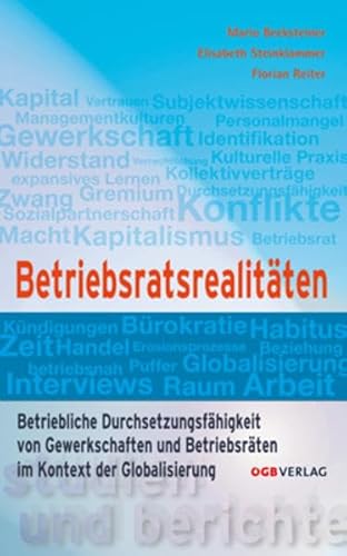 Betriebsratsrealitäten: Betriebliche Durchsetzungsfähigkeit von Gewerkschaften und BetriebsrätInnen im Kontext der Globalisierung (Studien und Berichte)
