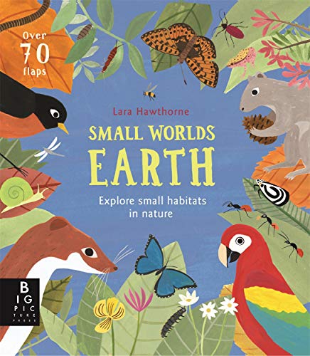 SMALL WORLDS EARTH