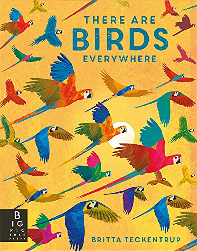 There are Birds Everywhere von Templar Publishing
