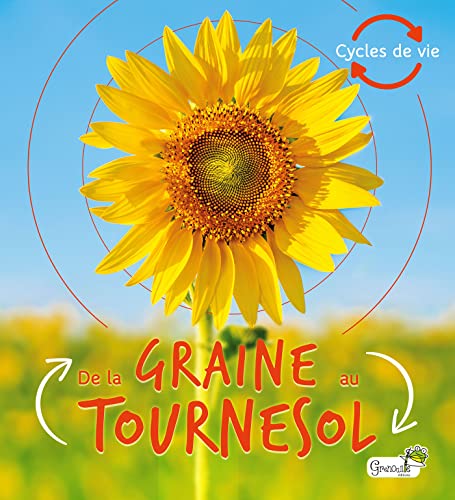De la graine au tournesol von GRENOUILLE