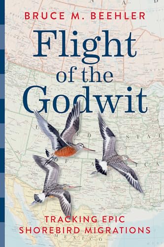 Flight of the Godwit: Tracking Epic Shorebird Migrations von Penguin