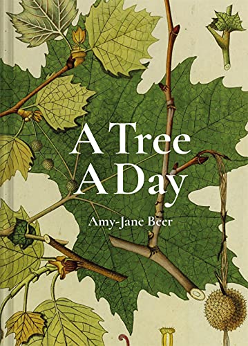 A Tree A Day von Bloomsbury