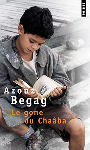 Le gone du Chaâba: Roman