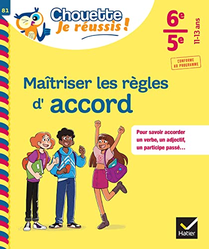 Maîtriser les règles d'accord 6e, 5e - Chouette, Je réussis !: cahier de soutien en français (collège)