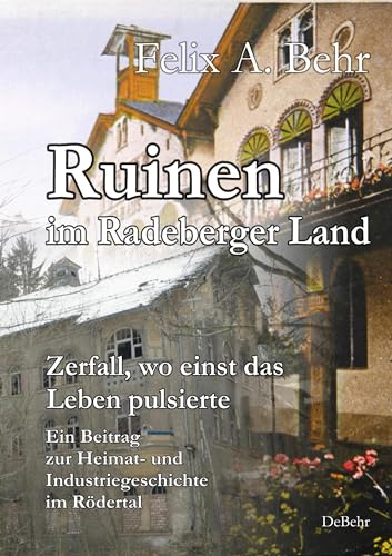 Ruinen im Radeberger Land – Zerfall, wo einst das Leben pulsierte - Ein Beitrag zur Heimat- und Industriegeschichte im Rödertal von Verlag DeBehr