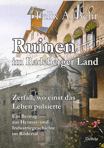 Ruinen im Radeberger Land – Zerfall, wo einst das Leben pulsierte - Ein Beitrag zur Heimat- und Industriegeschichte im Rödertal