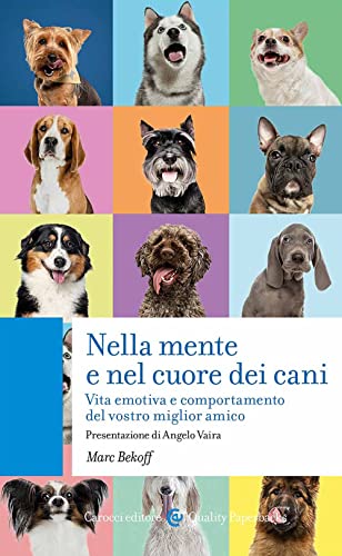 Nella mente e nel cuore dei cani. Vita emotiva e comportamento del vostro miglior amico (Quality paperbacks) von Carocci