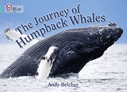 The Journey of Humpback Whales: Band 07/Turquoise (Collins Big Cat)