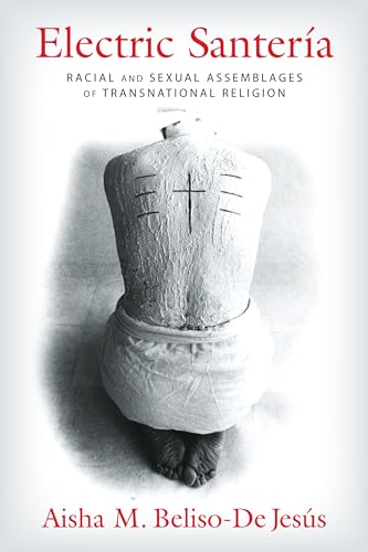 Electric Santeria: Racial and Sexual Assemblages of Transnational Religion (Gender, Theory, and Religion) von Columbia University Press