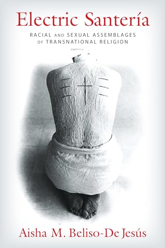 Electric Santeria: Racial and Sexual Assemblages of Transnational Religion (Gender, Theory, and Religion)