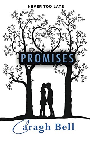 Promises (Follow Your Heart, Band 3) von Poolbeg Press