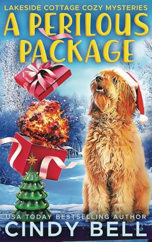 A Perilous Package (Lakeside Cottage Cozy Mysteries, Band 2) von Independently published