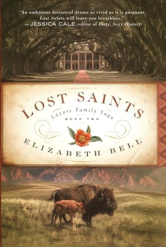 Lost Saints (Lazare Family Saga, Band 2) von Claire-Voie Books