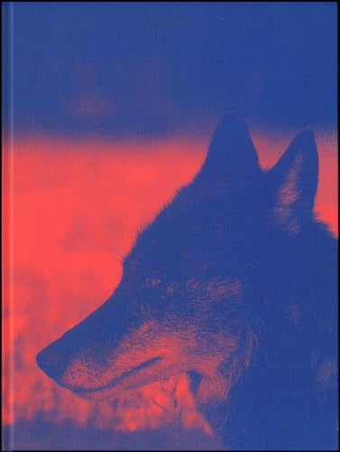 Das Wesen von X: Video Works 1993 - 2023