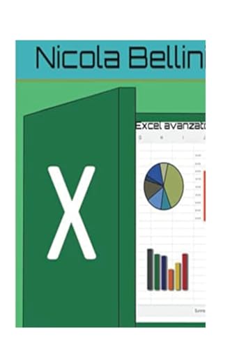 Excel avanzato von Lulu.com