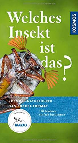 Welches Insekt ist das?: 170 Insekten einfach bestimmen