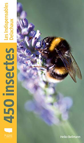 450 insectes von DELACHAUX et NIESTLE