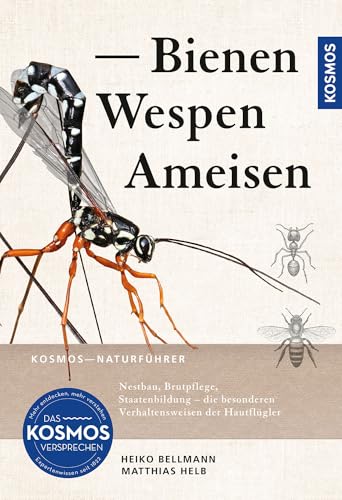 Bienen, Wespen, Ameisen: Insekten Mitteleuropas: Nestbau, Brutpflege, Staatenbildung - die besonderen Verhaltensweisen der Hautflügler Bienen, Wespen, Ameisen: Insekten Mitteleuropas: Nestbau, Brutpflege, Staatenbildung - die besonderen Verhaltensweisen der Hautflügler