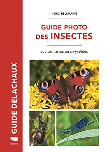 Guide photo des insectes: Adultes, larves ou chrysalides