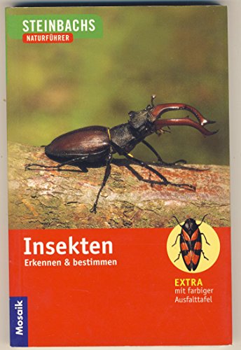 Insekten