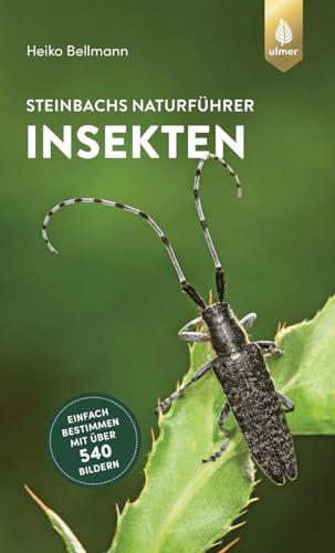 Steinbachs Naturführer Insekten: Einfach bestimmen mit über 540 Bildern von Ulmer Eugen Verlag